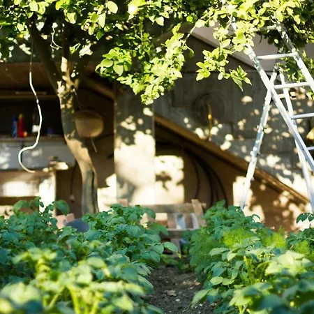 Arcobaleno 4* San Benedetto del Tronto