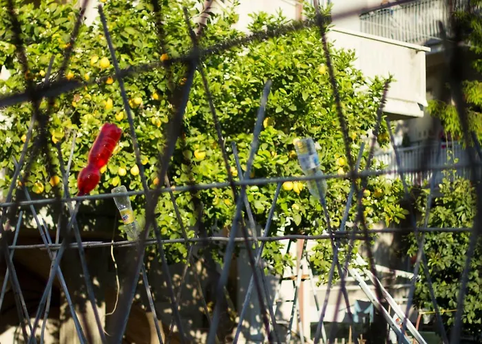 Arcobaleno Отель типа 