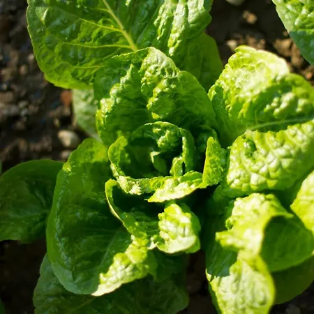 Bed & Breakfast Arcobaleno